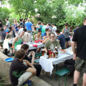  Sproing Pics (123/169)